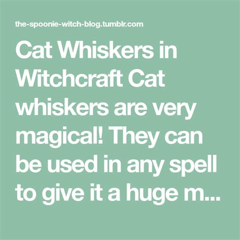 Witchcraft kitty learning center